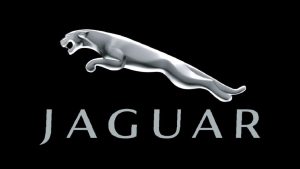 Jaguar service client